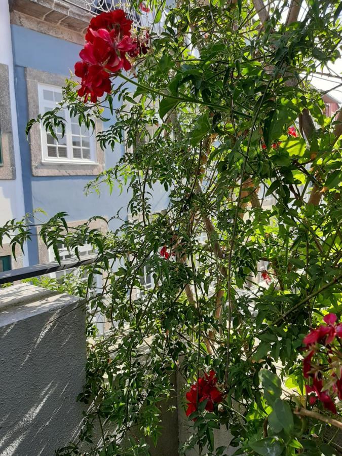 Amazing City Center Apartment Porto Villa Loios Екстериор снимка